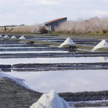 Charmante Maison Pour 6, Bois-plage Centre * Le Bois-Plage-en-Ré