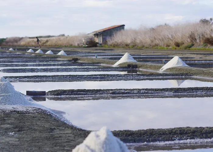 Charmante Maison Pour 6, Bois-plage Centre * Le Bois-Plage-en-Ré